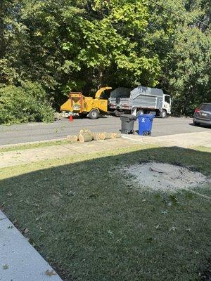 Acostas Tree & Landscape Service