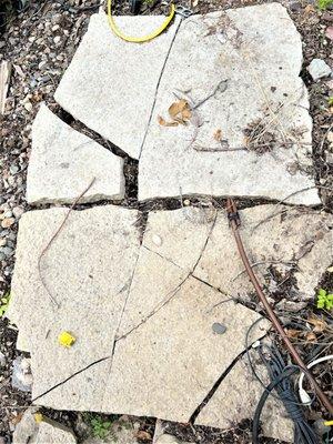 Huston's Tree Service