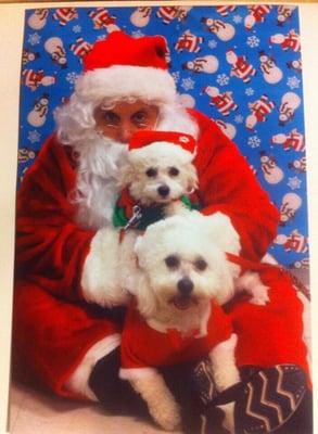 You Dirty Dogs Pet Grooming