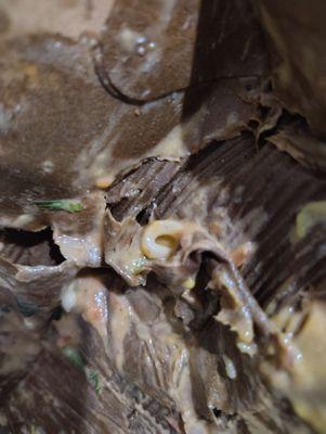 Mr Avocado’s Mexican Asada Grill