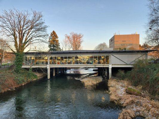 Renton Library