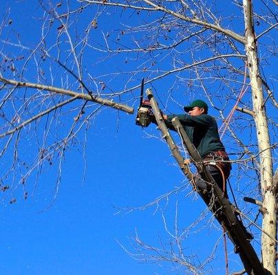 Sanchez And Sons Services