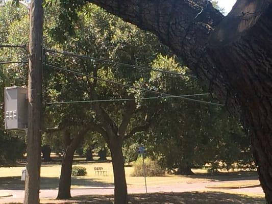 From the neutral ground on fleur de lis