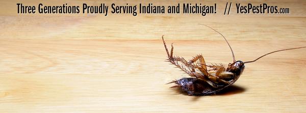 Young Environmental Solutions Pest Control