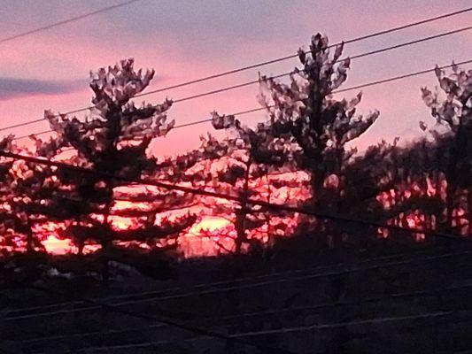 Honey Bee Clean Services