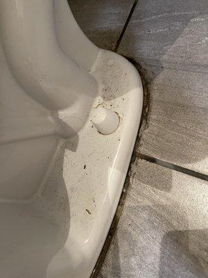 The 3rd bathroom that looks like this. These are all different toilets.