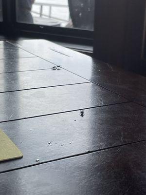 Swanie's Resort & Campground