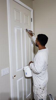 Prism Professional Painting