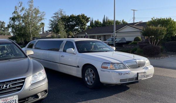 Luxor Coach Limousine