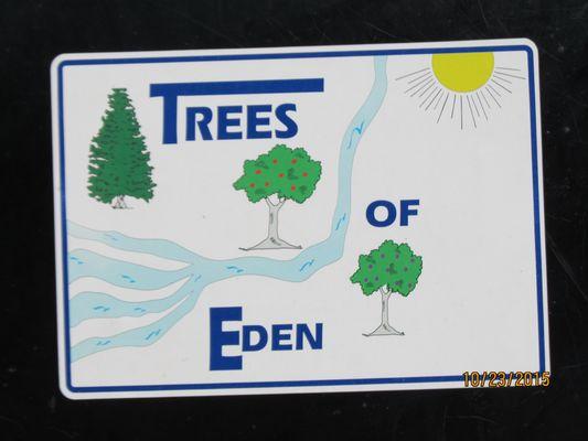 Trees Of Eden
