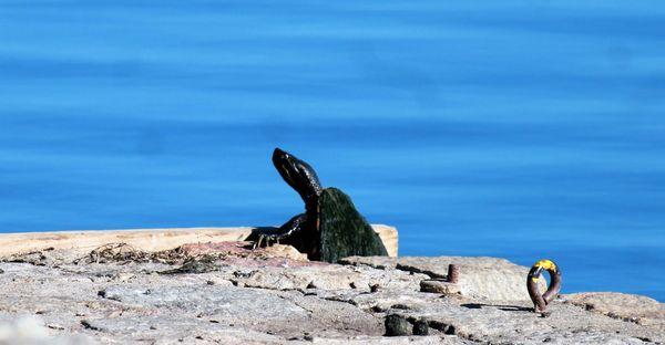 The New Millennium Marketing Group