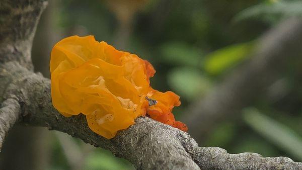 Hatcher Pass State Recreation Area