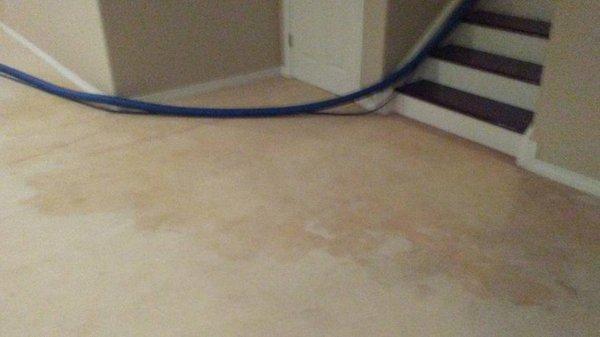 Dean's Professional Carpet Cleaning