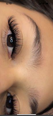Hybrid Lashes