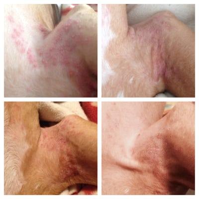 Highlands Veterinary Hospital