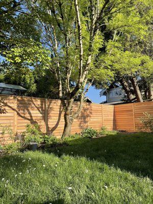7ft tall, clear grade red western cedar, horizontal fence