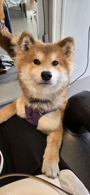 Absolutely adorable Bon Bon