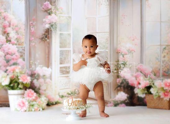 On the Treetop Photography