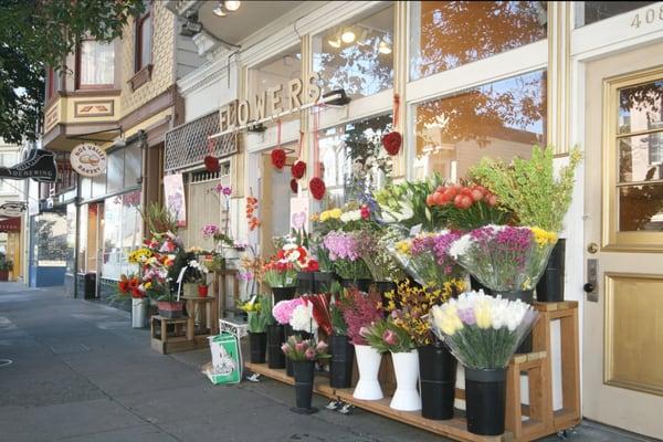 Hill & Co. Real Estate