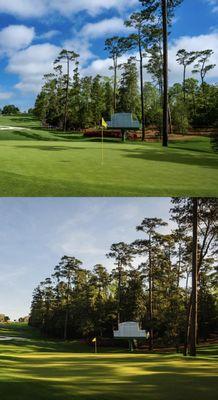 Before and after Hurricane Helene. Look how much shade was lost.