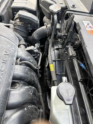 Chuck Taylor's Body Shop