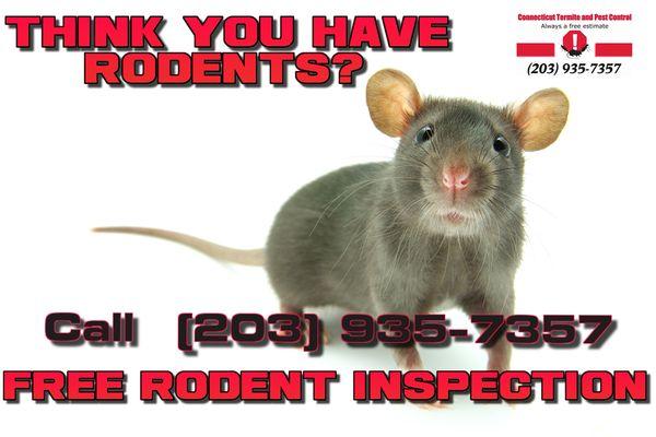 Think you have rodents? Call (203) 935-7357 for a free rodent inspection!!!