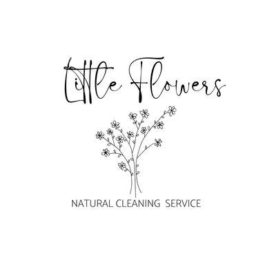 Little Flowers Natural Cleaning Service