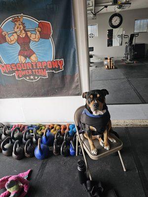 Central Valley Performance and Recovery