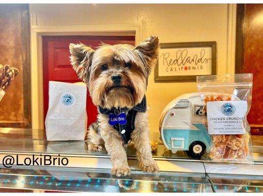 Loki wants all the treats from The Pup Shack!