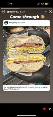 Terrys Not Just Bagels