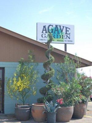 Agave Garden