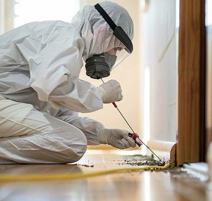 Reclaim Pest Control