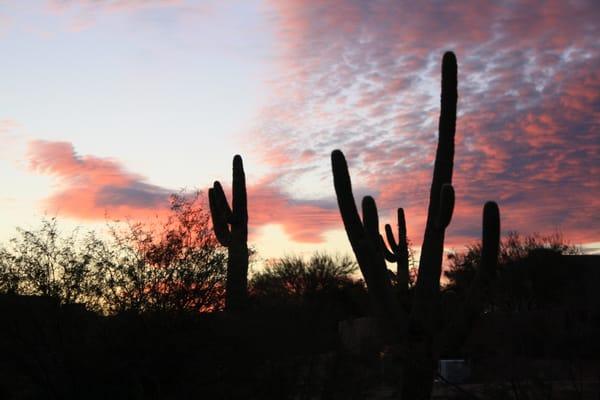 Sunset in Scottsdale