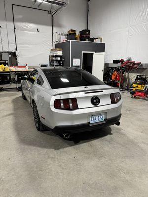 tinted light covers, roof stripe and tinted back glass