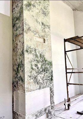 Decorative Plaster | Venetian Plaster | Accent Walls