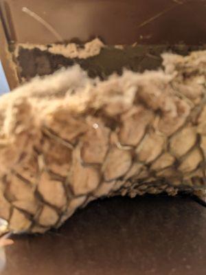 This is the roof dryer vent goose neck animal protection screen blocked. No air would leave the dryer clothes would dry.