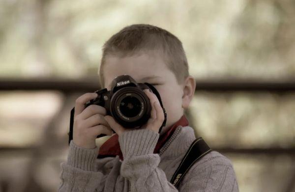 Weeping Willow Photography