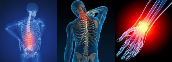 Functional Capacity Experts