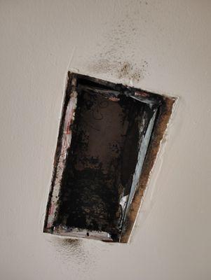 Lynnhaven Landing Apartments