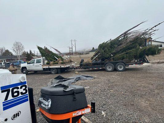 Garcia's Landscaping & Tree Service