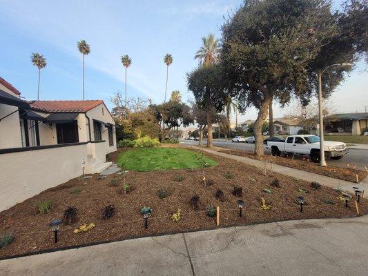 M&R Perez Landscaping