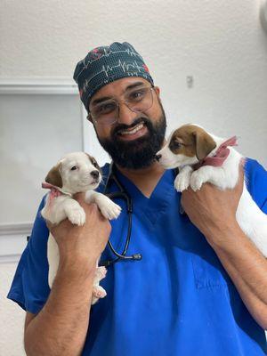 Veterinary Medical Center Union City