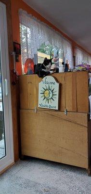 Health Quest Holistics