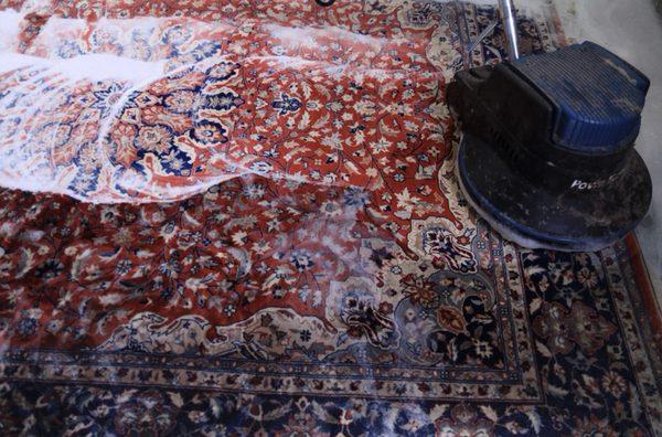 Area Rug Cleaning