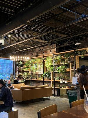 Oddstory Brewing Co: The Greenhouse