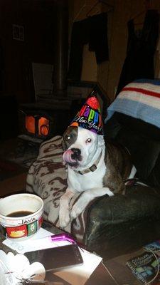 A-1 Drywall & Painting