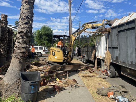 Gabriel Hauling & Tree Service