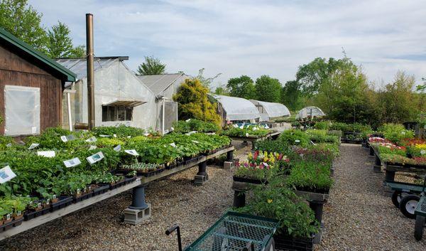 Hill Haven Farm & Greenhouse