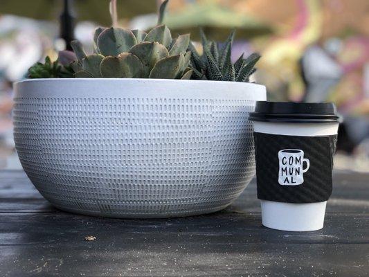 amazing coffee, amazing vibes. it's a place you gotta love.