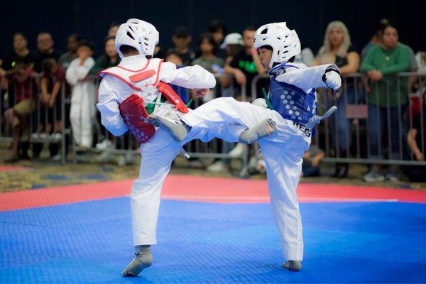 Win Taekwondo Academy